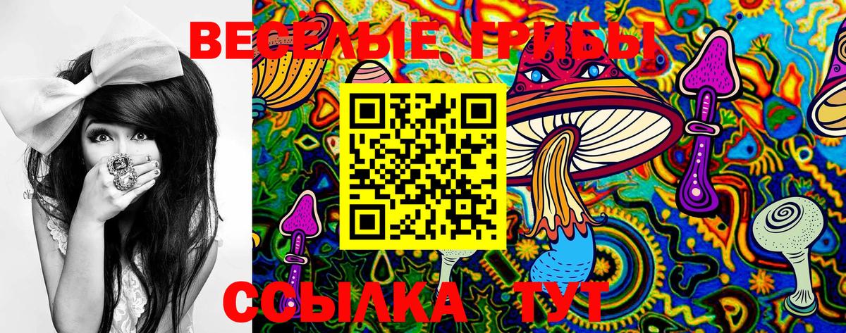 купить  цена  Галлюциногенные грибы прущие грибы  Вход с VPN  Лабинск 